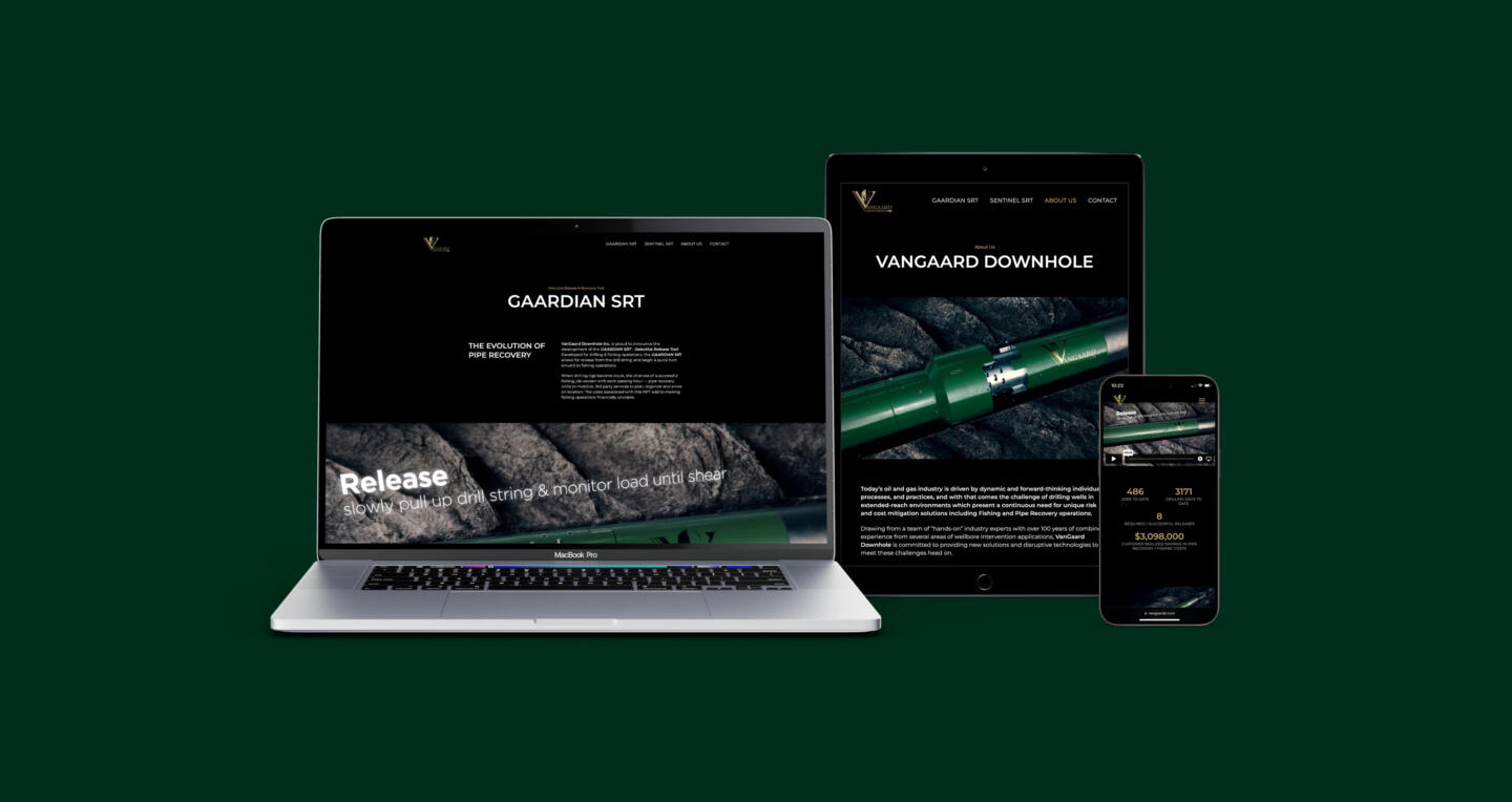 Vangaard Website visuals